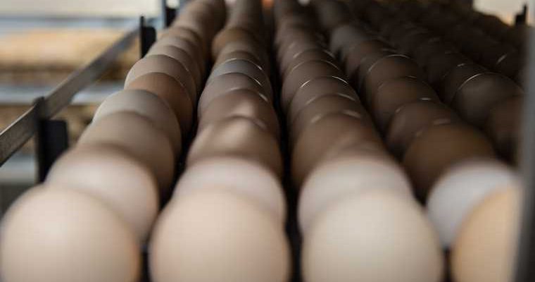 загрязнение земель