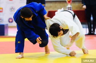 Чемпионат СКФО дзюдо массовая драка Видео