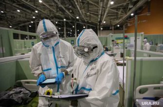 Коронавирус последние новости 25 февраля