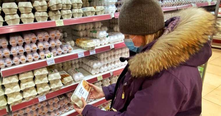 курица мясо птицы яйца куриные дорожает цена растет