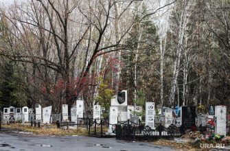 рост смертности Курган