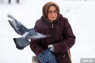 коронавирус Курган