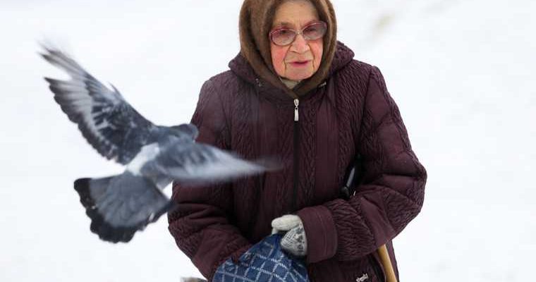 коронавирус Курган