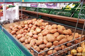 в России резко выросли цены на два популярных продукта