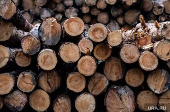 добыча леса