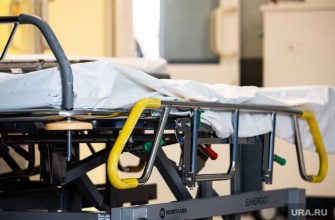 взятка чиновнику