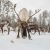 Причиной массовой гибели оленей в ЯНАО назвали зимние дожди