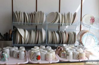 школьники Курганской области