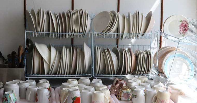 школьники Курганской области