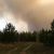 Лес загорелся в Курганской области. Фото