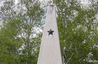 красные орлы Катайск