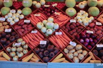 Россельхознадзор объединение новая структура Литовченко