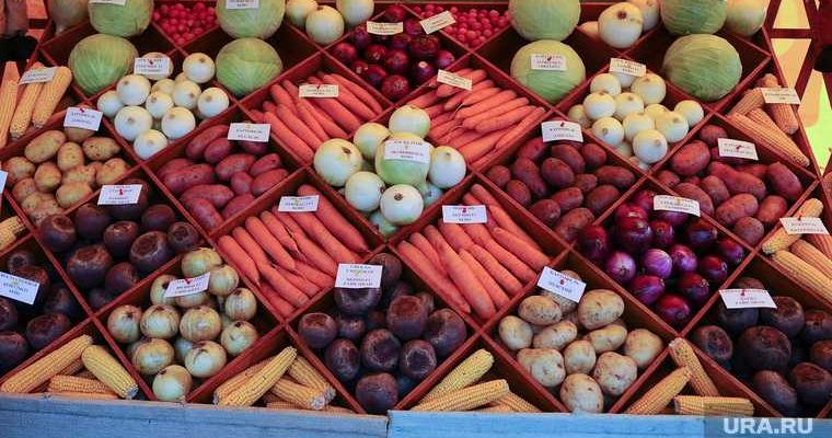 Россельхознадзор объединение новая структура Литовченко