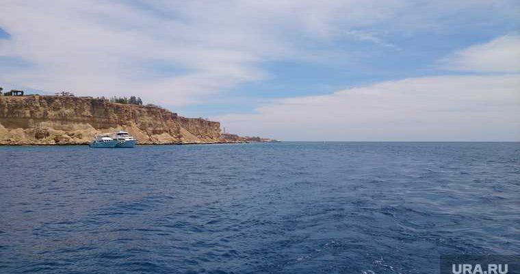 оаэ египет авиабилеты купить туры