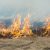 В ХМАО ввели особый режим из-за лесных пожаров
