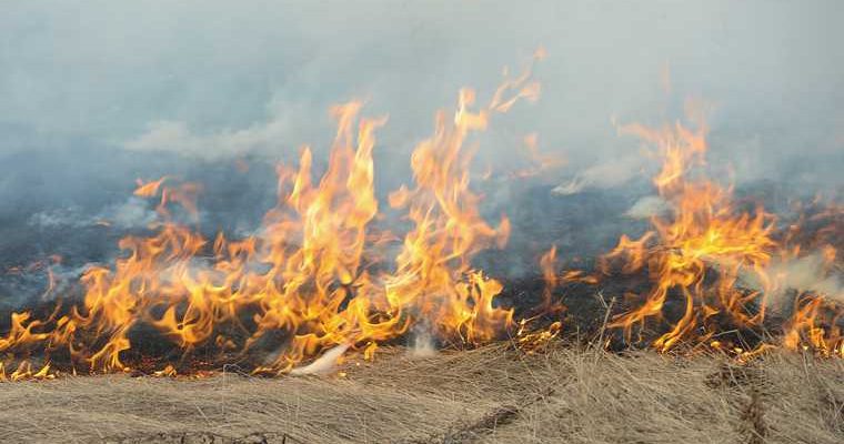 новости хмао пожар в югры режим чс противопожарный режим введен особый режим штраф за разведение костров