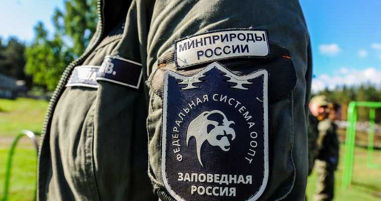 минприроды свалки рекультивация скандал