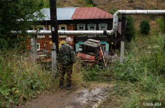 в Росреестре сообщили о массовых проверках дачников
