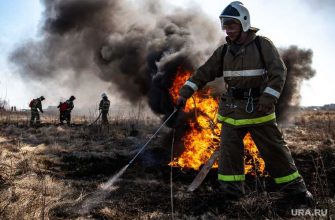 Лесные пожары