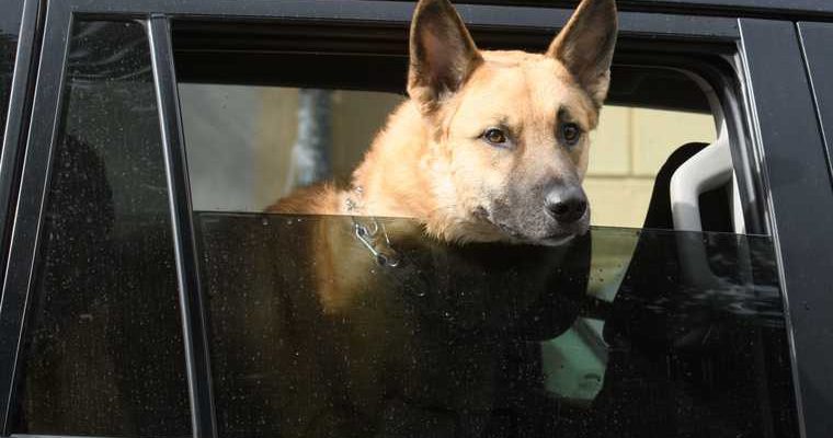 штрафы за нарушение ПДД