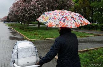 погода россияне