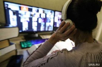 Мишустин об образовании