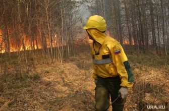 Южный лесной парк Екатеринбург пожар