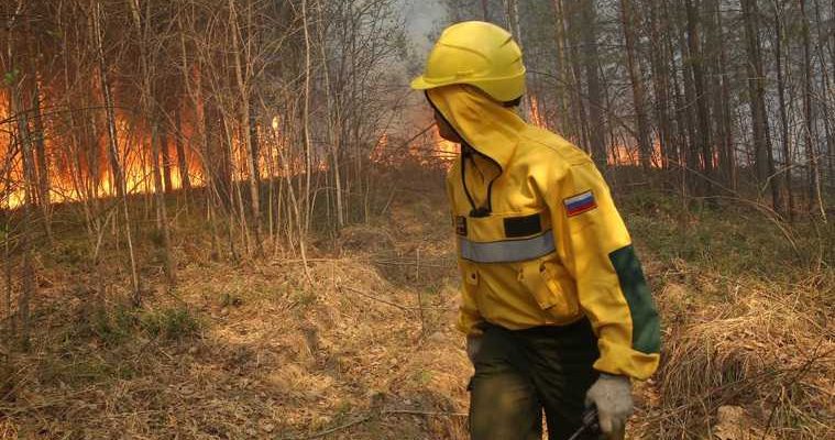 Южный лесной парк Екатеринбург пожар