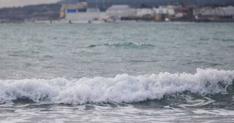 Путин предложил Лукашенко вместе искупаться в море