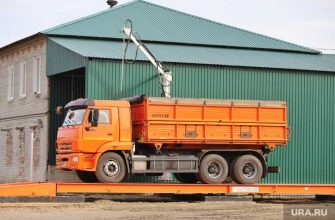 челябинский фермер