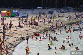 администрация Кургана