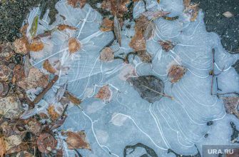 новости хмао погода в югре прогноз погоды синоптики ожидают заморозки возможен снег с дождем погода в ханты-мансийске нижневартовске сургуте