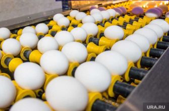 Птицефабрика Среднеуральская