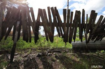 пермский край