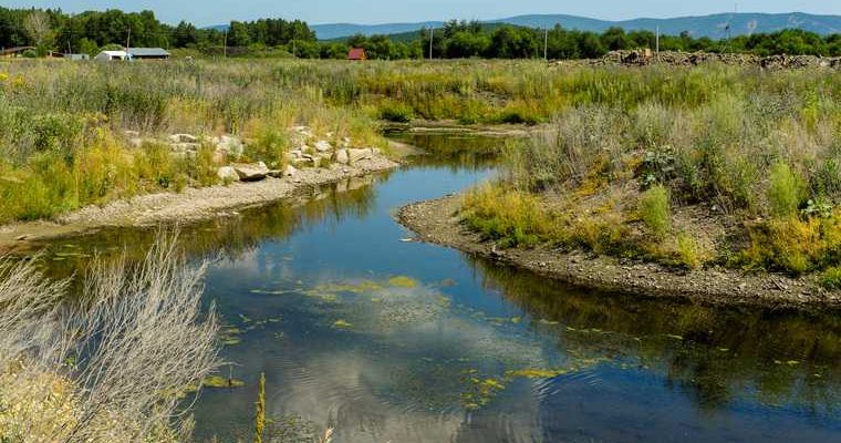 в логу Тюменки нашли черепа