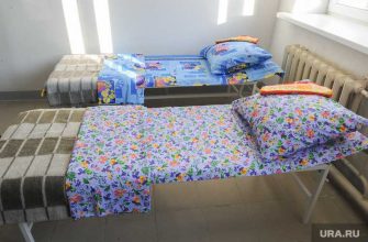 путин мвд полицейский протрезветь аэропорт