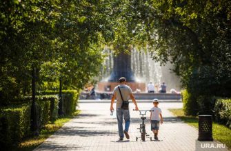 отцовский капитал Россия общественная палата соцсети реакция