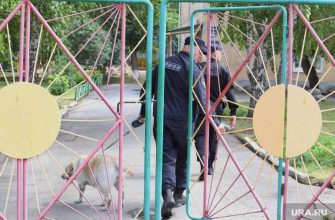 почему всех вывели