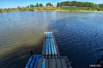 найден труп тюменская область