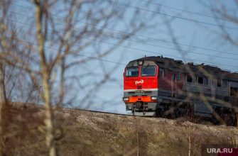 тюменская областная дума