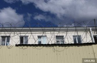 Салим Шамсутдинов