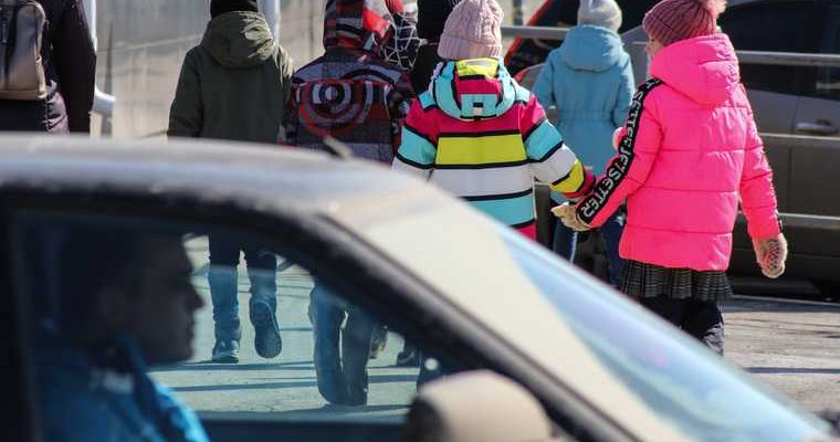 Светлана Бессараб инициативы