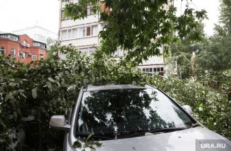 происшествия