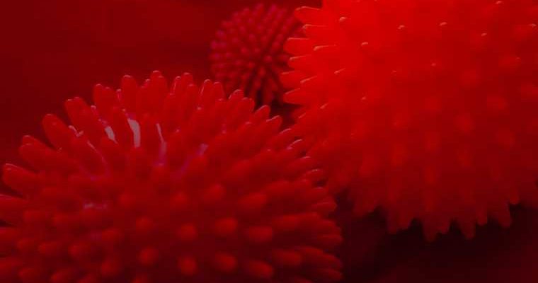 новый штамм коронавируса