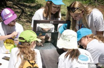 Сергей Кириенко