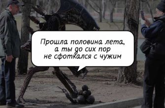 политика