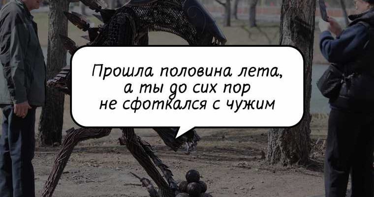 политика