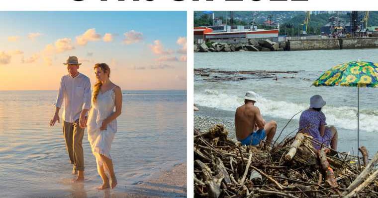 Елена Ситникова