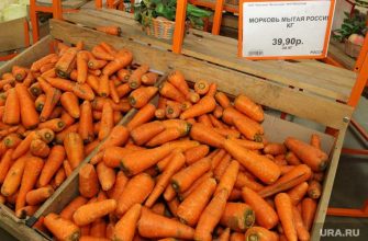 Цены на морковь