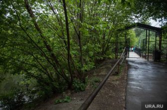 балатовский парк